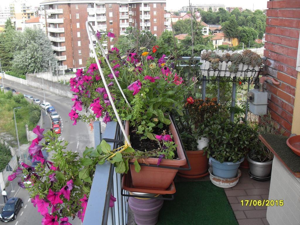 House Affittacamere